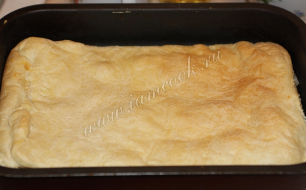 Выпекаем пирог в духоке