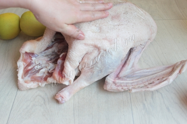 Приправить гуся солью и перцем