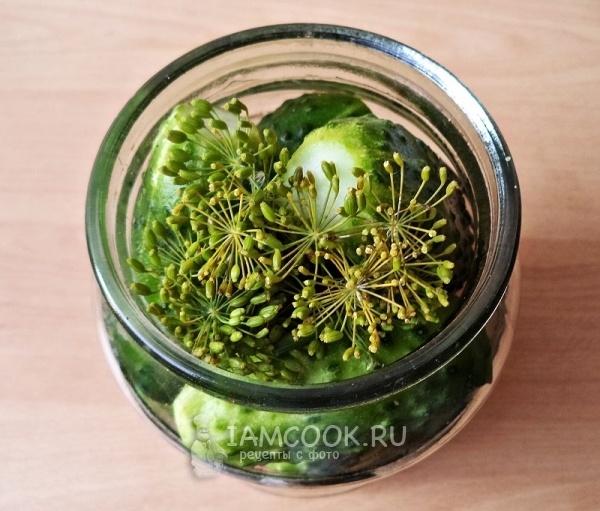 Положить в банку огурцы и укроп