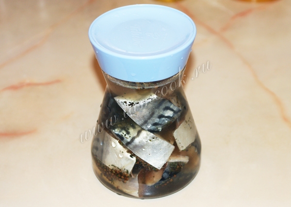 Скумбрия соленая в домашних условиях