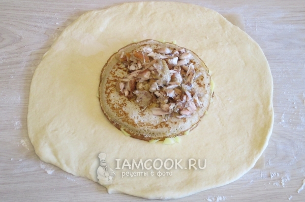 Куриный слой