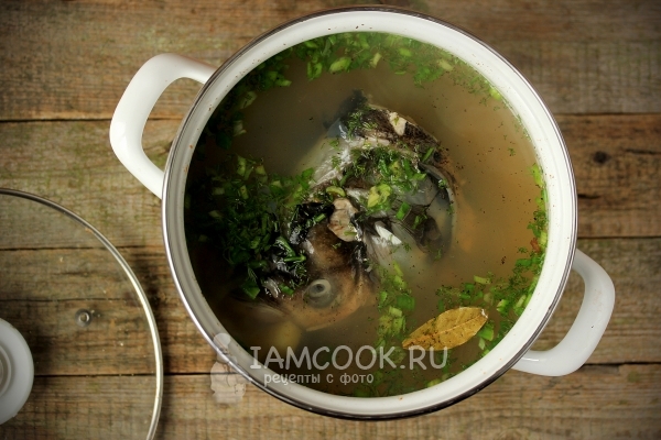 Рецепт ухи из головы толстолобика