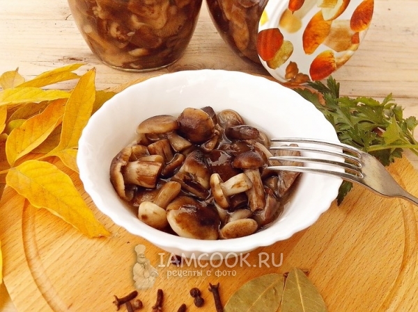 Рецепт маринованных опят на зиму