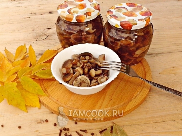 Фото маринованных опят на зиму