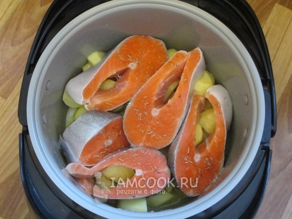 Выложить рыбные стейки