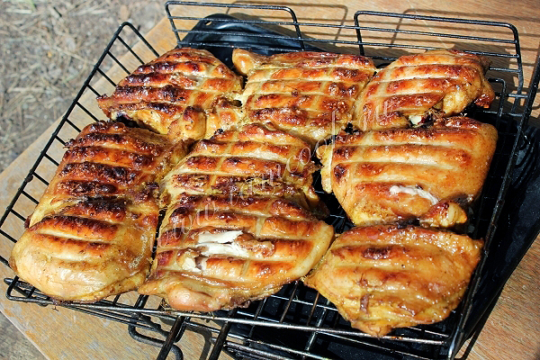 Рецепт шашлыка из курицы