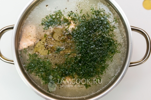 Рецепт ухи из красной рыбы