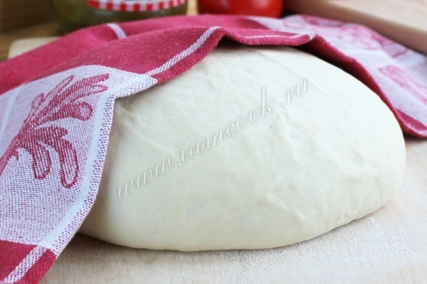 Тонкое тесто для пиццы фото