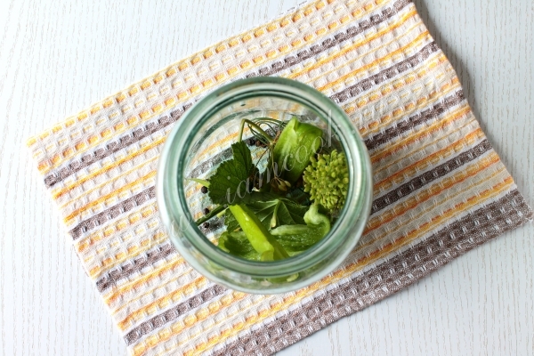 Зелень для огурцов