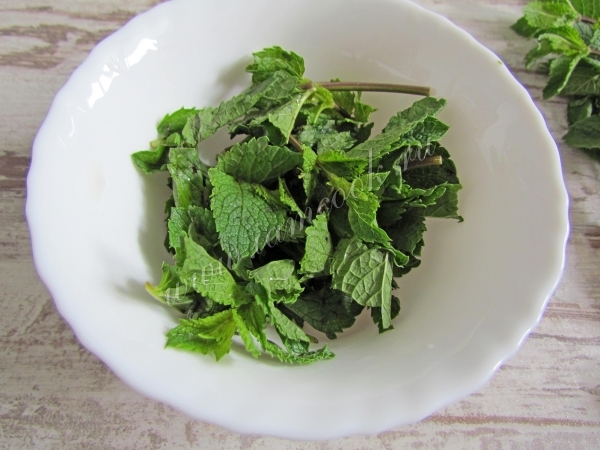 Листья мяты