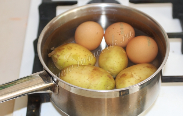 Базовые ингредиенты для окрошки на кефире