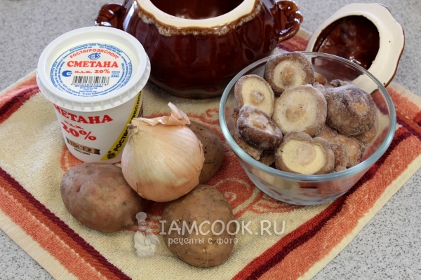 Ингредиенты для картошки с грибами в горшочках