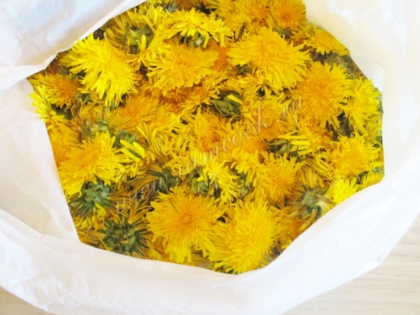 Одуванчики