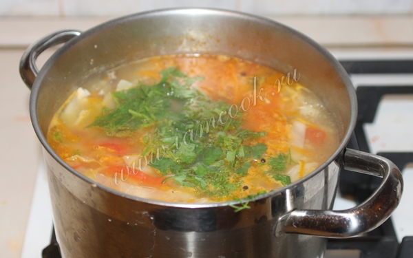 Щи со свежей капустой и зеленью в кастрюле