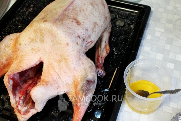 Смазать гуся медом