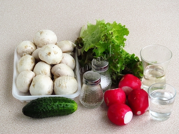 Ингредиенты для салата с редисом и грибами