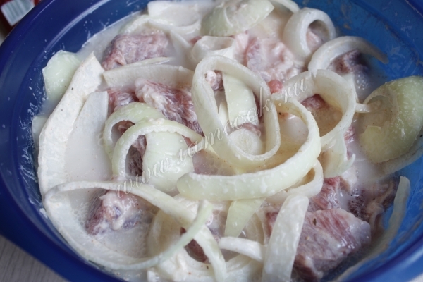 Мясо с луком в минералке