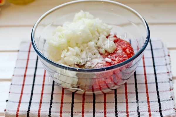 Мясной фарш с луком