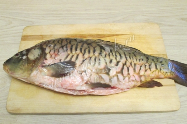 Тушка карпа