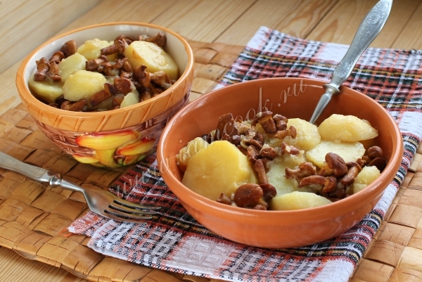 Лисички с картофелем в мультиварке