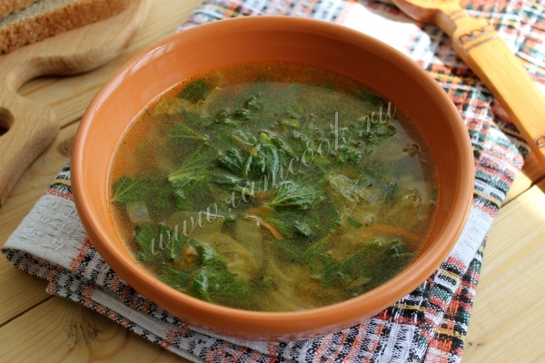 Рецепт зеленого борща с крапивой