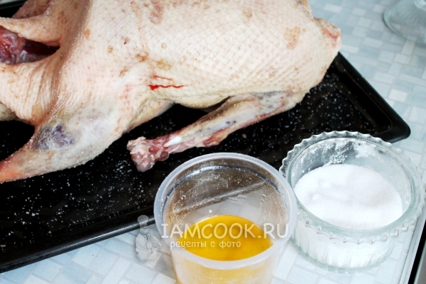 Ингредиенты для гуся с яблоками в медовом маринаде