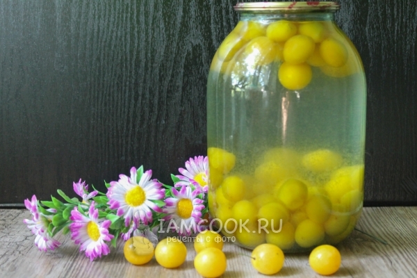 Рецепт компота из алычи на зиму