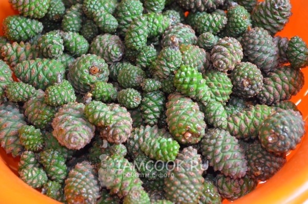 Сосновые шишки