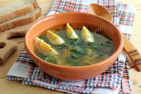 Борщ из крапивы