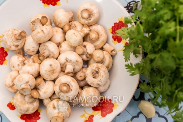 Ингредиенты для жареных шампиньонов с чесноком и кинзой