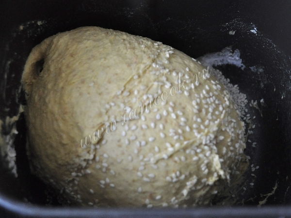 Тесто для хлеба с овсом и морковью