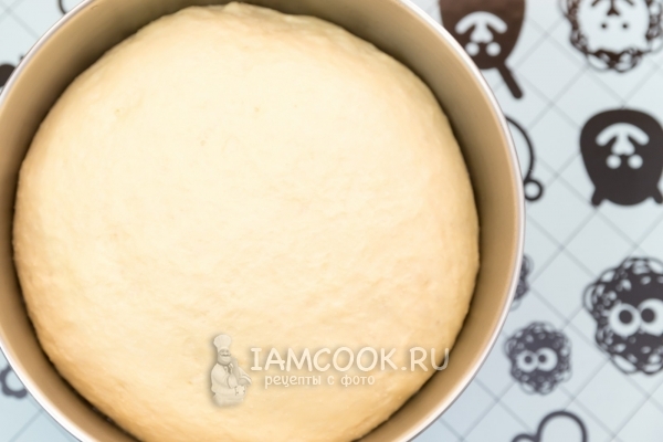 Подошедшее тесто