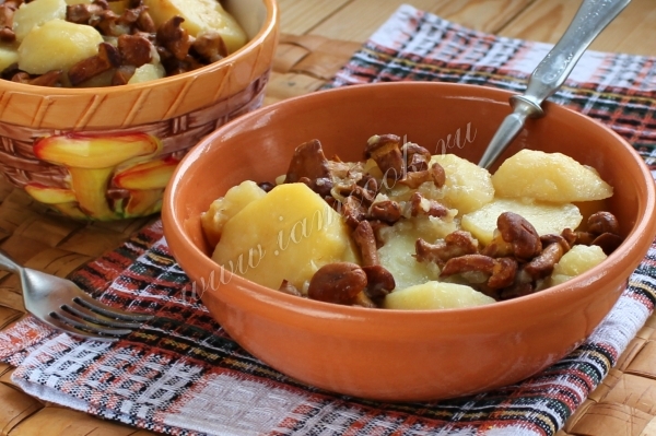 Лисички с картошкой в мультиварке