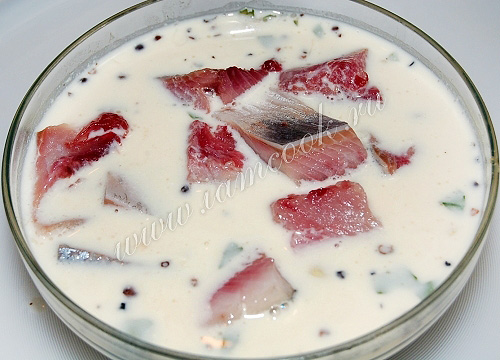 Селедка в белом соусе