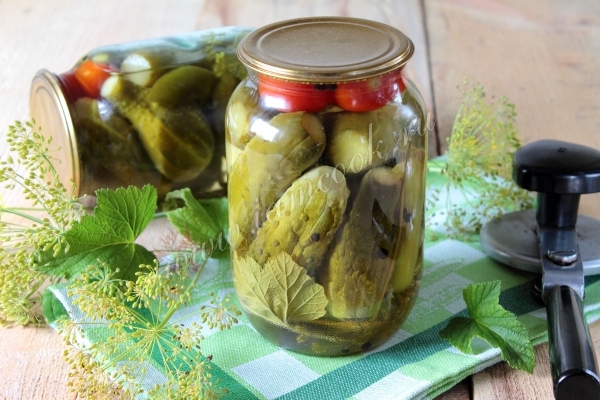 Рецепт соленых огурцов на зиму