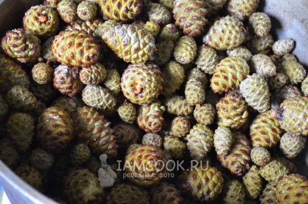 Слить с шишек воду