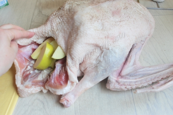 Нафаршировать гуся