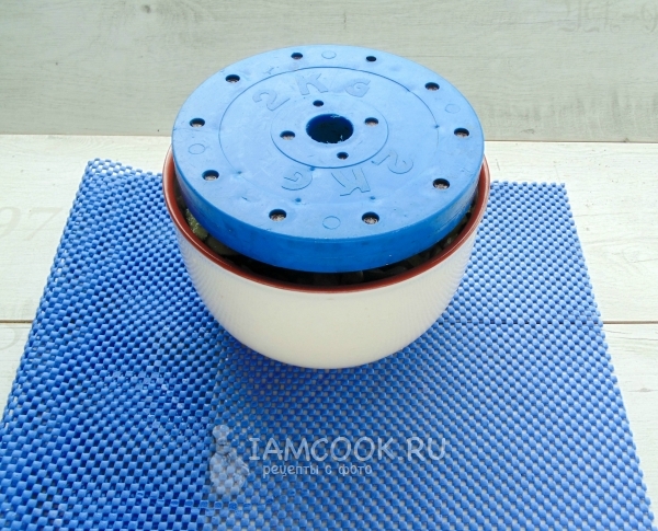 Огурцы под гнётом