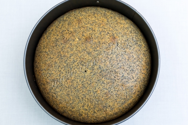 Выпекаем маковый торт