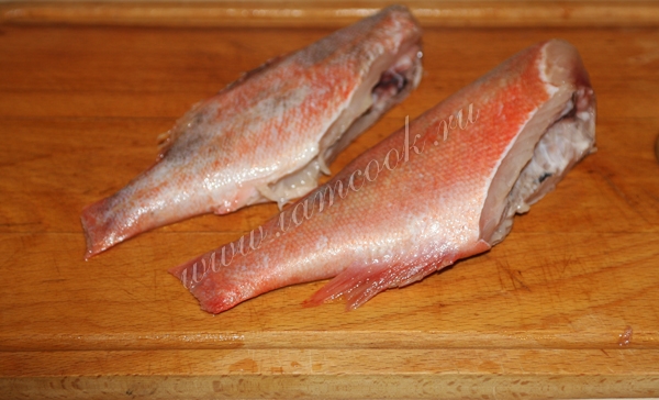 Фотографии морского окуня