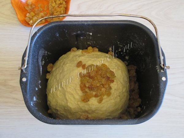 Изюм с тестом для кулича