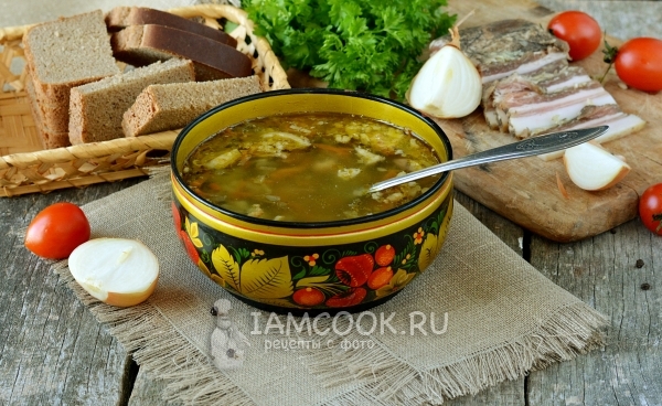 Фото зелёных щей из кисленицы