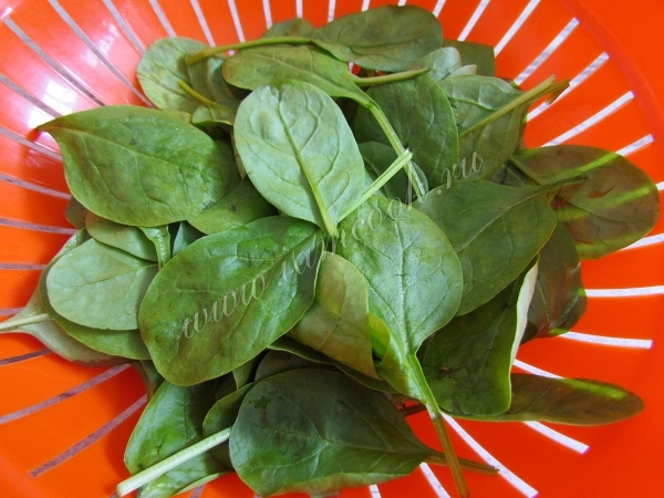 Листья шпината