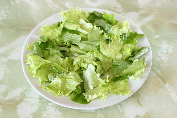 Порвать листья для салата Цезарь с курицей