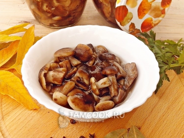 Готовые маринованные опята на зиму