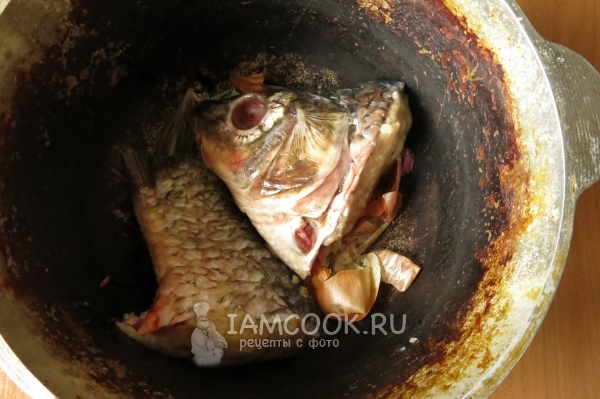 Положить хвост и голову рыбы