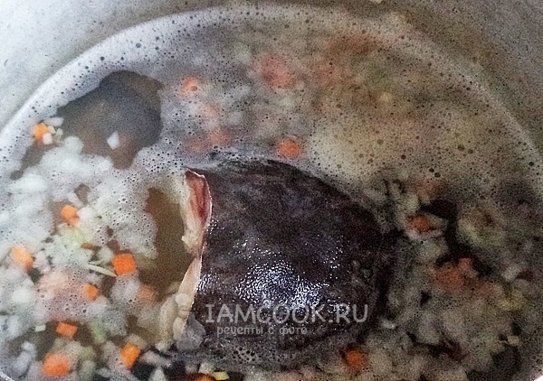 Положить в суп голову и хвост налима