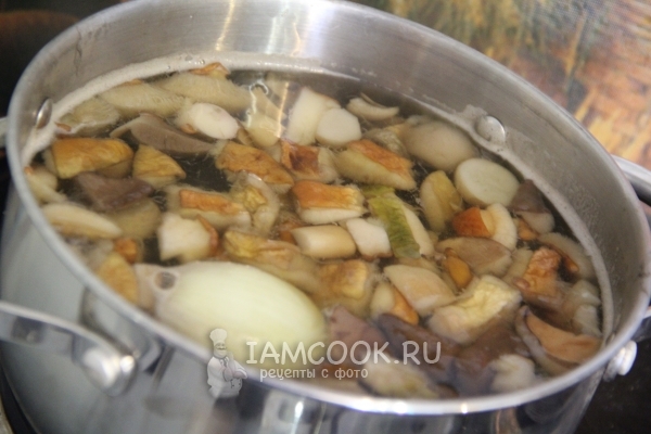Положить в воду грибы и лук