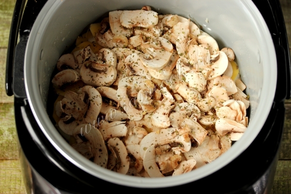 Грибной слой