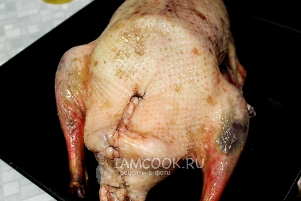 Зашить гуся